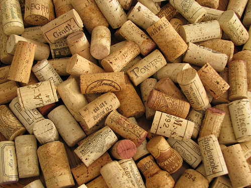 3264207698_1b4e656a05