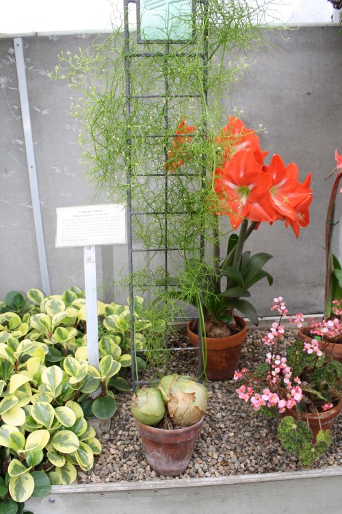 HIDDEN LAKE GARDENS-MG-MARCH2010 139