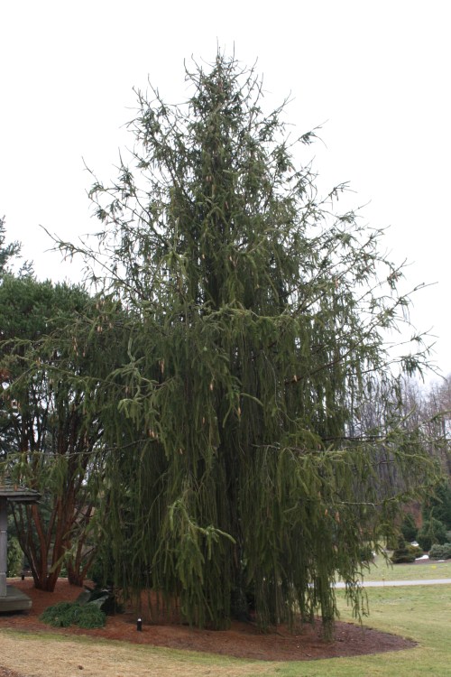 HIDDEN LAKE GARDENS-MG-MARCH2010 177