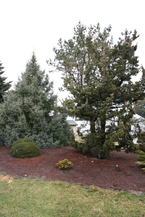 HIDDEN LAKE GARDENS-MG-MARCH2010 178