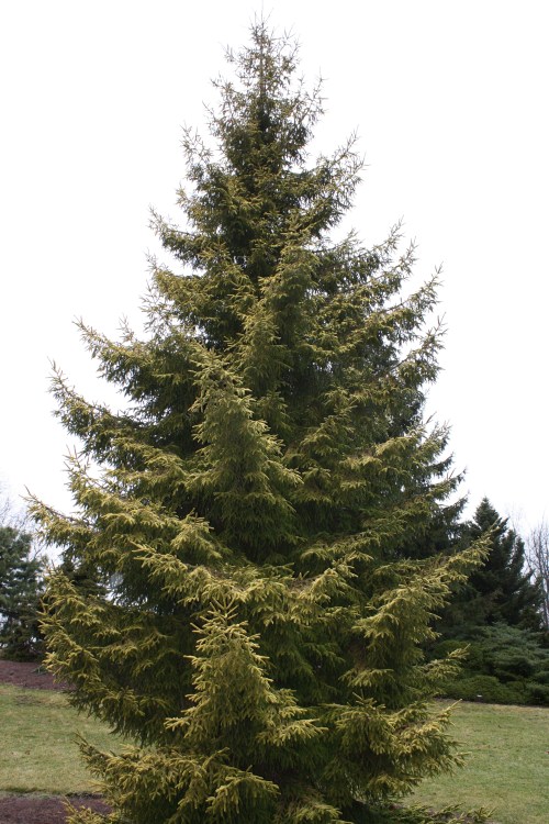 HIDDEN LAKE GARDENS-MG-MARCH2010 179