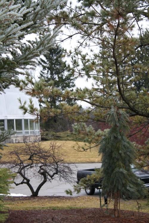 HIDDEN LAKE GARDENS-MG-MARCH2010 180