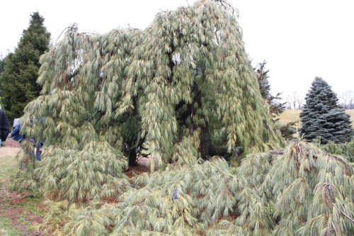 HIDDEN LAKE GARDENS-MG-MARCH2010 185