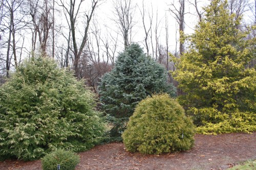 HIDDEN LAKE GARDENS-MG-MARCH2010 196