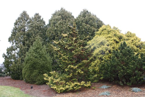 HIDDEN LAKE GARDENS-MG-MARCH2010 198