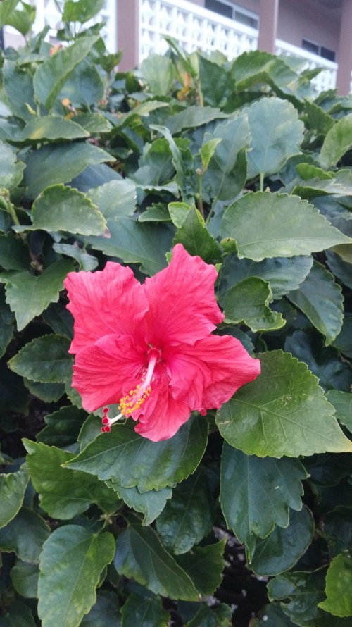 0214161750_Burst01 (1)