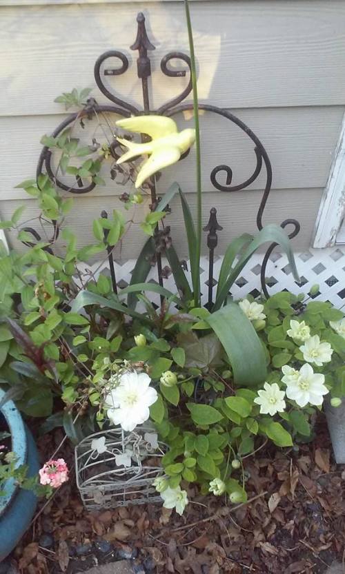 13230112_10206817273969883_1053287558591036174_n