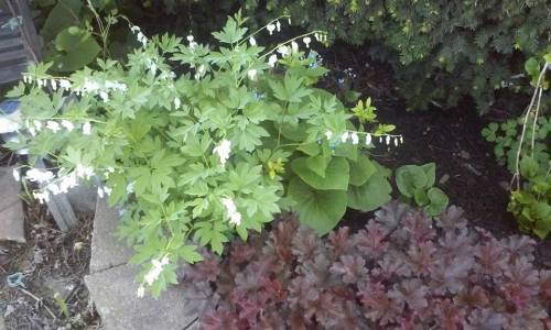 13237699_10206817275649925_9204591845520778505_n