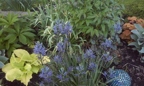 13239119_10206817274969908_1337677075496278653_n