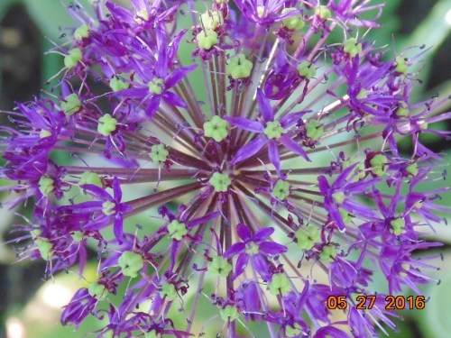 various_2016_june_164[1]