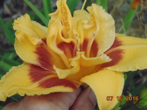 2016_spring-summer_040[1]