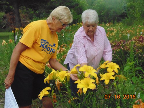 2016_spring-summer_049[1]