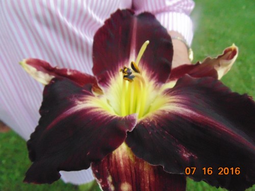 2016_spring-summer_052[1]