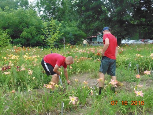 2016_spring-summer_054[1]