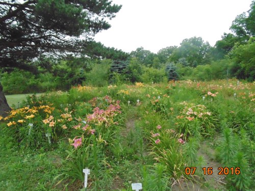 2016_spring-summer_060[1]