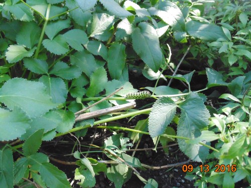 2016-sept-trip-plus-others-239