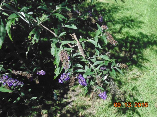 2016-sept-trip-plus-others-241