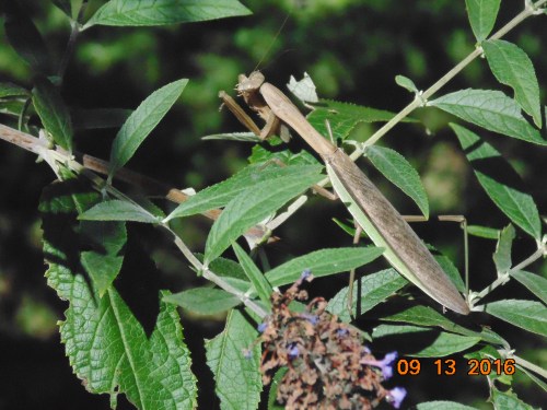 2016-sept-trip-plus-others-242-1