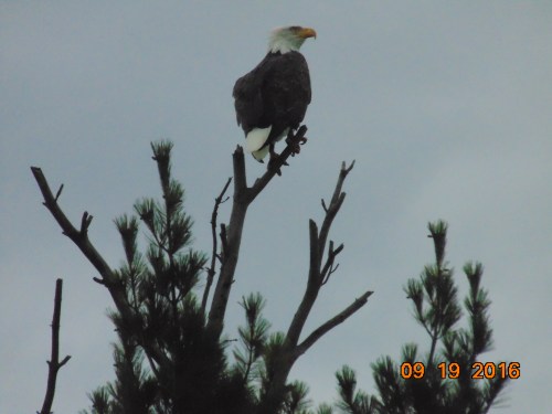 2016_sept_trip_plus_others_2731