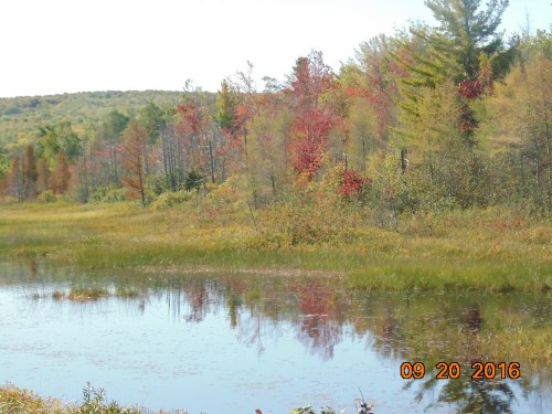 2016_sept_trip_plus_others_4471