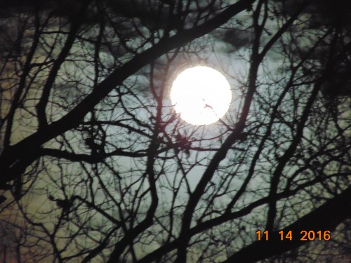 2016-november-and-prior-1109