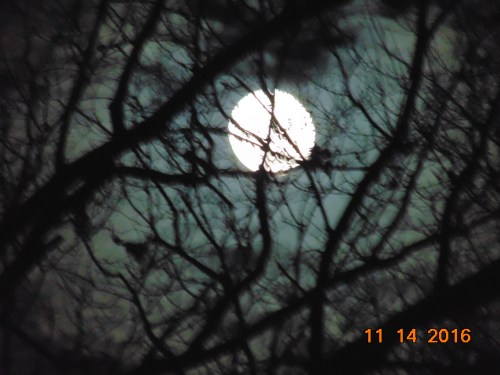 2016-november-and-prior-1111