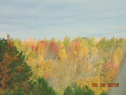 2016-november-and-prior-944