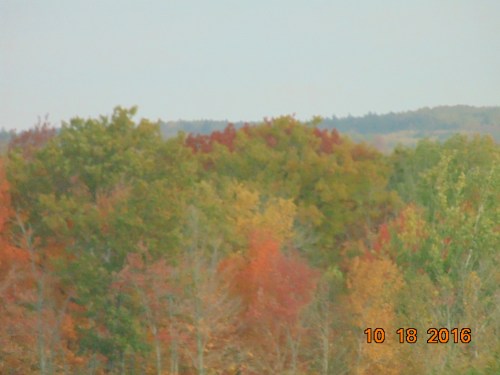 2016-november-and-prior-946