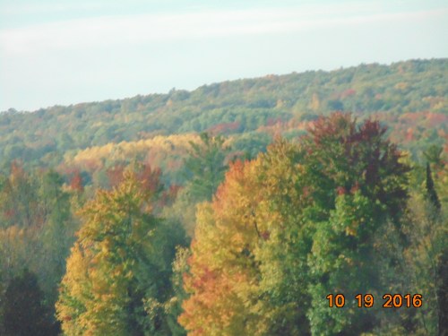 2016-november-and-prior-963