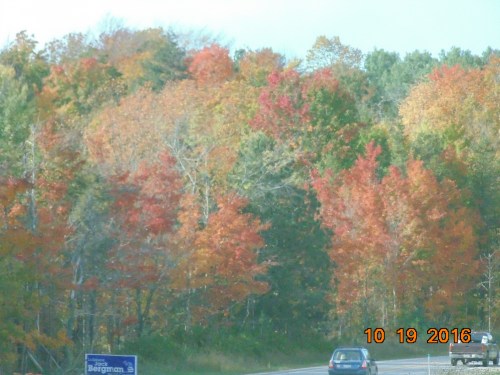 2016-november-and-prior-982