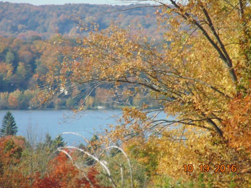 2016-november-and-prior-986