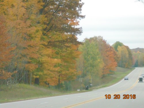 2016_november_and_prior_10771